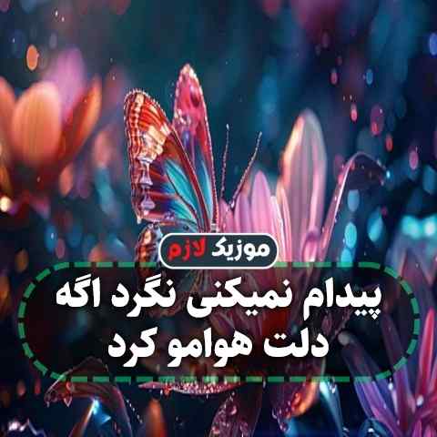 دانلود آهنگ پیدام نمیکنی نگرد اگه دلت هوامو کرد دانلود آهنگ پیدام نمیکنی نگرد اگه دلت هوامو کرد